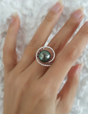 Elliptique, vue 2