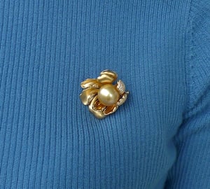 Paeonia, vue 7