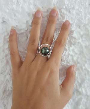 Elliptique, vue 8