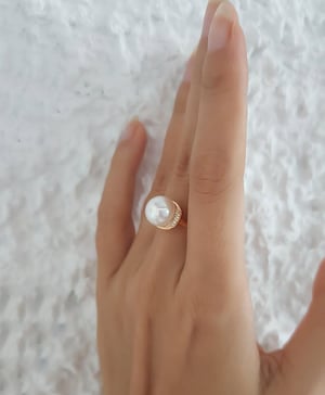 Circulaire, vue 6