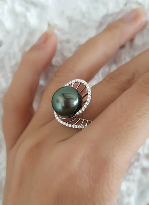 Elliptique, vue 10
