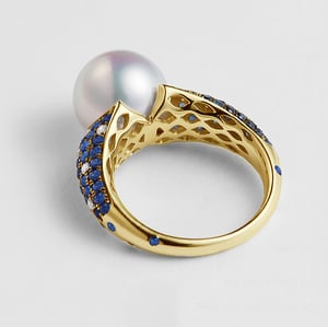 L'Enchanteur Bague, vue 6