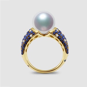 L'Enchanteur Bague, vue 1
