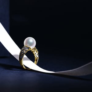 L'Enchanteur Bague, vue 8