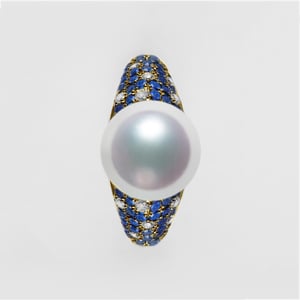 L'Enchanteur Bague, vue 11