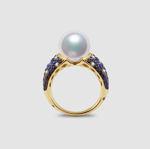 L'Enchanteur Bague, vue 12
