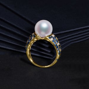L'Enchanteur Bague, vue 3
