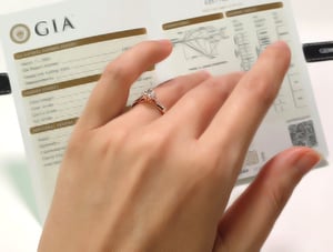 Amélia, vue 11