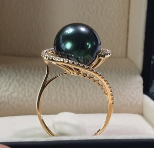 Elliptique, vue 2