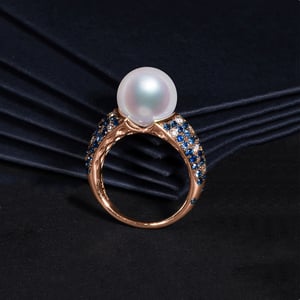 L'Enchanteur, vue 7