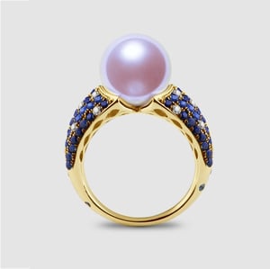 L'Enchanteur, vue 1