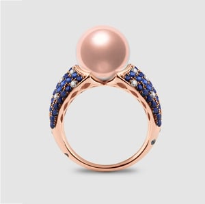 L'Enchanteur, vue 1