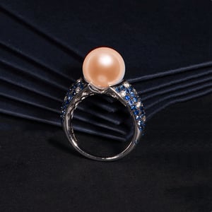 L'Enchanteur, vue 5