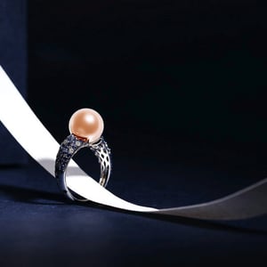 L'Enchanteur, vue 6