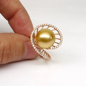 Elliptique, vue 5