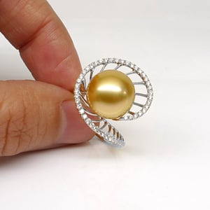 Elliptique, vue 5