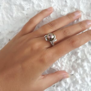 Fleur des Antilles, vue 7