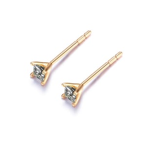 Camélia, vue 8