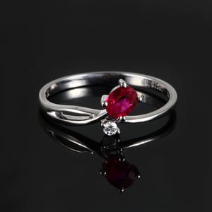 Rose Rouge, vue 3
