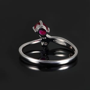 Rose Rouge, vue 4