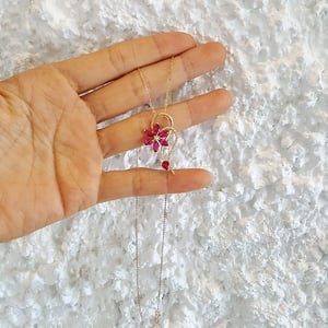 Fiore Candido, vue 5