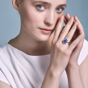 Marguerite du cap, vue 3