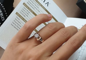 Insieme, vue 4