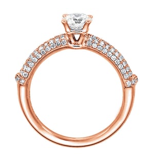 Bambou Prestige, vue 3