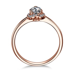 Mon Coeur de Diamant, vue 4
