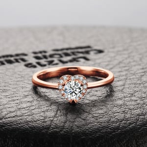 Mon Coeur de Diamant, vue 5