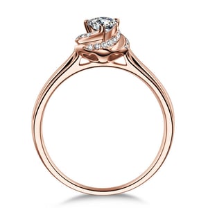 Cuore di Rosa, vue 7