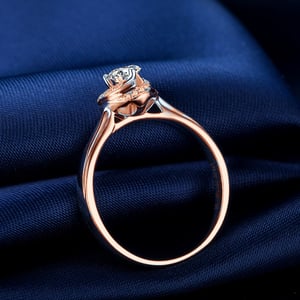 Cuore di Rosa, vue 6