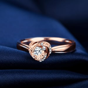 Cuore di Rosa, vue 2