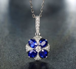 Fiore Blu, vue 10