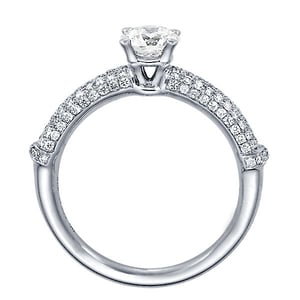 Bambou Prestige, vue 3