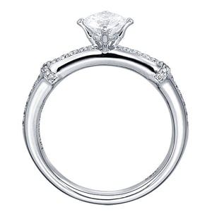 Bambou solitaire, vue 3