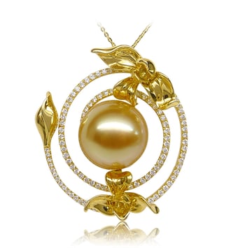 Orchidée sauvage
