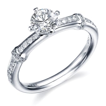 Bambou solitaire